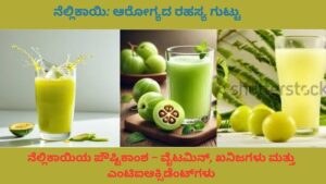 ಗಾಜಿನ ಗ್ಲಾಸ್‌ನಲ್ಲಿ ನೆಲ್ಲಿಕಾಯಿ ರಸ, ಹತ್ತಿರದಲ್ಲಿ ತಾಜಾ ಹಣ್ಣುಗಳು, ಆರೋಗ್ಯದ ಲಾಭಗಳನ್ನು ಸೂಚಿಸುವ ಐಕಾನ್‌ಗಳು ಜೊತೆಗೆ, ಆರೋಗ್ಯ ಮತ್ತು ಪೌಷ್ಟಿಕತೆ ಸಂಕೇತ.