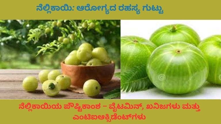 ತಾಜಾ ನೆಲ್ಲಿಕಾಯಿ ಹಣ್ಣುಗಳ ಬಟ್ಟಲಿನಲ್ಲಿರುವ ಚಿತ್ರ, ಹಸಿರು ಎಲೆಗಳಿಂದ ಸುತ್ತುವರಿದ, ಪ್ರಕೃತಿಯ ಬೆಳಕಿನಲ್ಲಿ ಹೊಳೆಯುತ್ತಿರುವ ಹಣ್ಣಿನ ದೃಷ್ಯ
