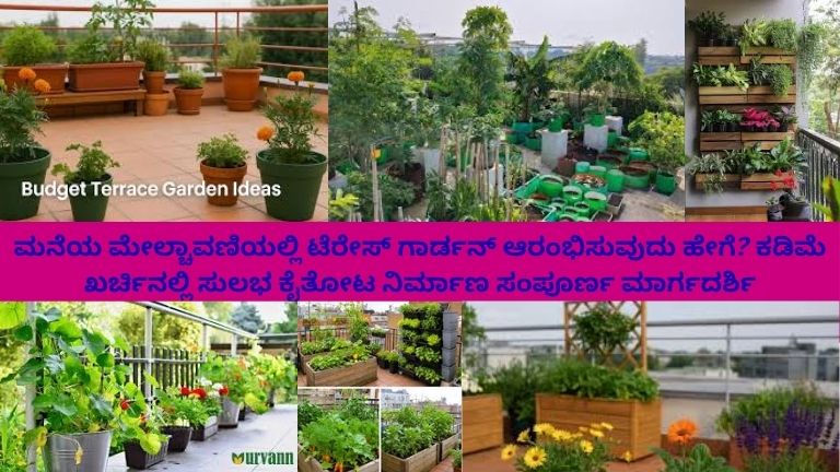 ನಗರದ ಮನೆಯ ಮೇಲ್ಚಾವಣಿಯಲ್ಲಿ ಕಡಿಮೆ ಖರ್ಚಿನ ಸುಲಭ ಟೆರೇಸ್ ಗಾರ್ಡನ್ ಸ್ಥಾಪನೆಯ ದೃಶ್ಯ. ಪ್ಲಾಸ್ಟಿಕ್ ಬಾಟಲಿಗಳು, ಮರದ ಬಾಕ್ಸ್, ಬ್ಯಾರಲ್ ಮುಂತಾದ ಪುನಃಬಳಕೆ ಮಾಡಿದ ಪಾತ್ರೆಗಳಲ್ಲಿ ತರಕಾರಿ, ಹರ್ಬ್‌ಗಳು ಮತ್ತು ಹೂವುಗಳನ್ನು ಬೆಳೆದಿದ್ದಾರೆ. ವ್ಯಕ್ತಿ ನೀರು ಹಾಕುತ್ತಿರುವುದು, ಹಣ್ಣಿನ ಬೀಜ ಪ್ಯಾಕೆಟ್‌ಗಳು, ಕೈತೋಟ ಸಾಧನಗಳು (ಟ್ರೋವಲ್, ಕೈಗೌಂಟ್‌ಗಳು) ಮತ್ತು ಹ್ಯಾಂಗಿಂಗ್ ಪ್ಲಾಂಟರ್‌ಗಳು ಗೋಚರಿಸುತ್ತವೆ. ಕೊನೆಯಲ್ಲಿ ರೆಸೈಕಲ್ ಕಮ್ಪೋಸ್ಟ್ ಬಿನ್ ಮತ್ತು ಚಿಕ್ಕ ಕೂಸಿಯೊಂದಿಗೆ ಅಲಂಕೃತ ಕೂಟ ಕೋಣೆ. ಬೆಳಗಿನ ಸೂರ್ಯಪ್ರಕಾಶ, ನಿಲುವಂಗಿ ಹಸಿರು ಮತ್ತು ಹರ್ಷಭರಿತ ವಾತಾವರಣ.