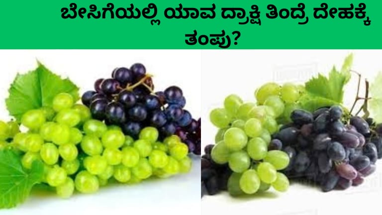 ಬೇಸಿಗೆಯ ಸಮಯದಲ್ಲಿ ಹಸಿರು ಮತ್ತು ಕಪ್ಪು ದ್ರಾಕ್ಷಿಯನ್ನು ಪಕ್ಕಪಕ್ಕದಲ್ಲಿಟ್ಟು ತೋರಿಸಿರುವ ಚಿತ್ರ, ದೇಹಕ್ಕೆ ತಂಪು ನೀಡುವ ಆರೋಗ್ಯಕರ ಫಲಗಳ ರೂಪದಲ್ಲಿ.