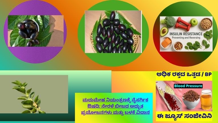 ಮಧುಮೇಹ ನಿಯಂತ್ರಣಕ್ಕೆ ನೇರಳೆ ಬೀಜದ ಬಳಕೆ ಮತ್ತು ಅದರ ಆರೋಗ್ಯಕರ ಪ್ರಯೋಜನಗಳನ್ನು ತೋರಿಸುವ ಚಿತ್ರ