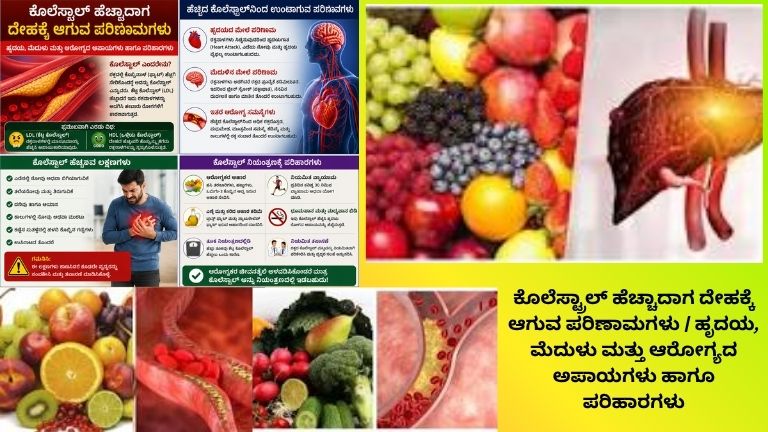 ಕೊಲೆಸ್ಟ್ರಾಲ್ ಹೆಚ್ಚಾದಾಗ ದೇಹಕ್ಕೆ ಆಗುವ ಪರಿಣಾಮಗಳ ಕುರಿತು ಕನ್ನಡದಲ್ಲಿ ತಯಾರಿಸಲಾದ ಆರೋಗ್ಯ ಮಾಹಿತಿ ಪೋಸ್ಟರ್. ಹೃದಯ, ಮೆದುಳು ಹಾಗೂ ರಕ್ತನಾಳಗಳ ಮೇಲೆ ಉಂಟಾಗುವ ಅಪಾಯಗಳು, ಲಕ್ಷಣಗಳು ಮತ್ತು ಕೊಲೆಸ್ಟ್ರಾಲ್ ನಿಯಂತ್ರಣಕ್ಕೆ ಅಗತ್ಯವಾದ ಪರಿಹಾರಗಳನ್ನು ಚಿತ್ರಗಳ ಮೂಲಕ ವಿವರಿಸಲಾಗಿದೆ.